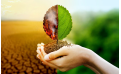 5 Acciones para evitar el Impacto Ambiental